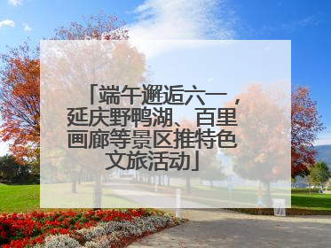 端午邂逅六一，延庆野鸭湖、百里画廊等景区推特色文旅活动