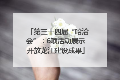 第三十四届“哈洽会”：6项活动展示开放龙江建设成果