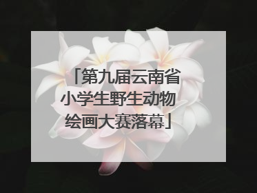 第九届云南省小学生野生动物绘画大赛落幕