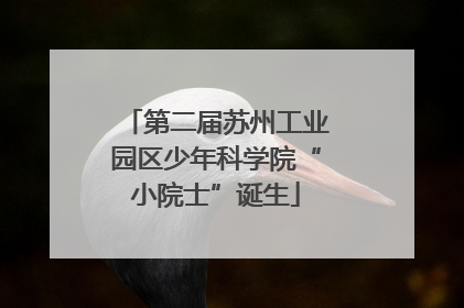 第二届苏州工业园区少年科学院“小院士”诞生