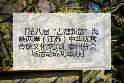 第八届“古漕新韵”海峡两岸（江苏）中华优秀传统文化交流汇泰州分会场活动成功举办