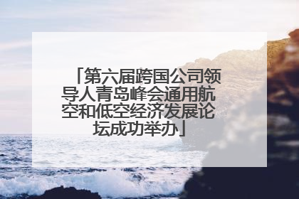 第六届跨国公司领导人青岛峰会通用航空和低空经济发展论坛成功举办