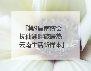 第9届南博会｜抚仙湖畔旅居热 云南生活新样本