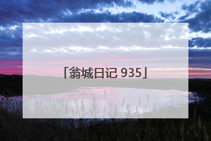 翁城日记 935