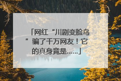 网红“川剧变脸鸟”骗了千万网友！它的真身竟是……