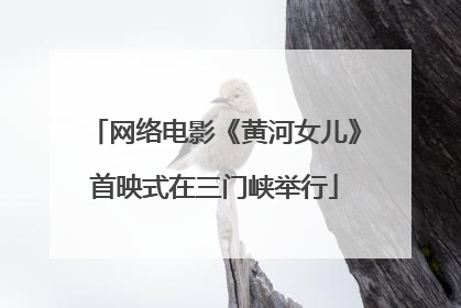 网络电影《黄河女儿》首映式在三门峡举行