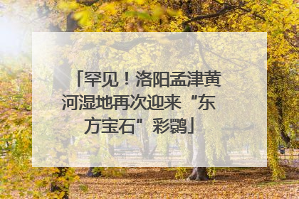罕见！洛阳孟津黄河湿地再次迎来“东方宝石”彩鹮
