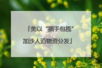 美以“插手包揽”加沙人道物资分发