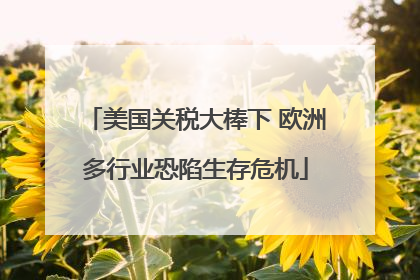 美国关税大棒下 欧洲多行业恐陷生存危机