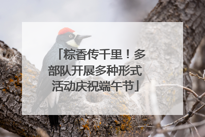 粽香传千里！多部队开展多种形式活动庆祝端午节