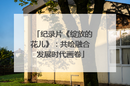 纪录片《绽放的花儿》：共绘融合发展时代画卷