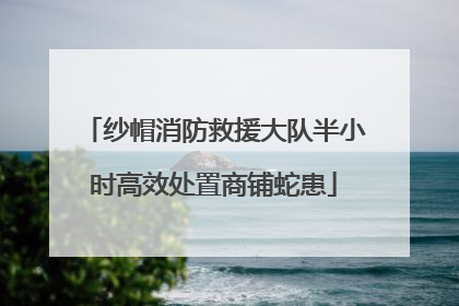 纱帽消防救援大队半小时高效处置商铺蛇患