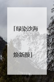 绿染沙海焕新颜