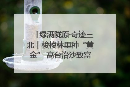 绿满陇原·奇迹三北｜梭梭林里种“黄金” 高台治沙致富很“从容”