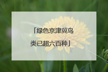 绿色京津冀鸟类已超六百种