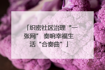 织密社区治理“一张网” 奏响幸福生活“合奏曲”