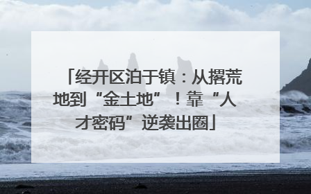 经开区泊于镇：从撂荒地到“金土地”！靠“人才密码”逆袭出圈