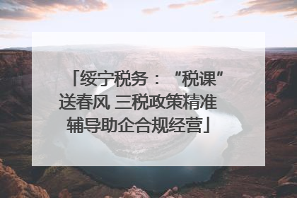 绥宁税务：“税课”送春风 三税政策精准辅导助企合规经营