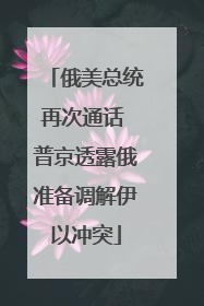 俄美总统再次通话 普京透露俄准备调解伊以冲突