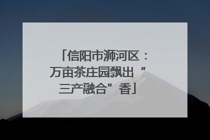 信阳市浉河区：万亩茶庄园飘出“三产融合”香