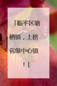 临平区塘栖镇，上榜省级中心镇！