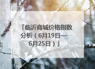临沂商城价格指数分析（6月19日—6月25日）