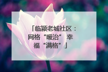 临颍老城社区：网格“暖治” 幸福“满格”