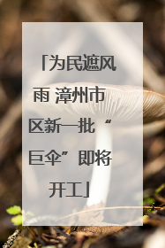为民遮风雨 漳州市区新一批“巨伞”即将开工
