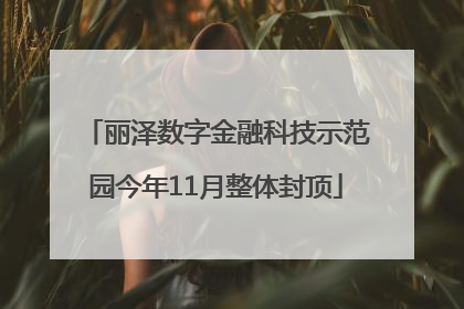 丽泽数字金融科技示范园今年11月整体封顶