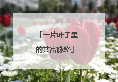 一片叶子里的共富脉络