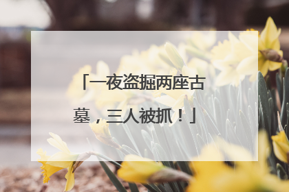 一夜盗掘两座古墓，三人被抓！