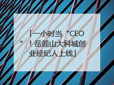 一小时当“CEO”！岳麓山大科城创业经纪人上线