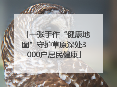 一张手作“健康地图”守护草原深处3000户居民健康