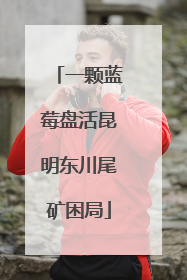 一颗蓝莓盘活昆明东川尾矿困局