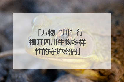 万物“川”行 揭开四川生物多样性的守护密码