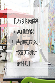 万兆网络+AI赋能！青海迈入“双万兆”时代
