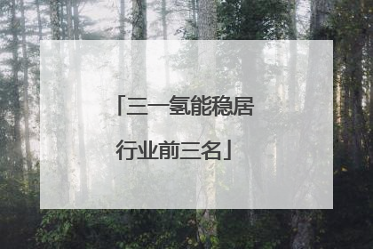 三一氢能稳居行业前三名