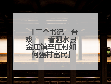 三个书记一台戏——看泗水县金庄镇辛庄村如何强村富民