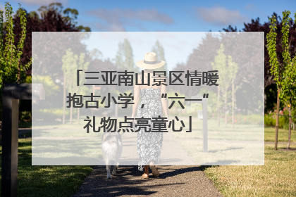 三亚南山景区情暖抱古小学，“六一”礼物点亮童心