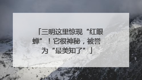三明这里惊现“红眼蝉”！它很神秘，被誉为“最美知了”