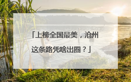 上榜全国最美，沧州这条路凭啥出圈？