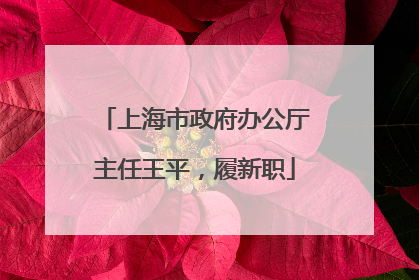 上海市政府办公厅主任王平，履新职