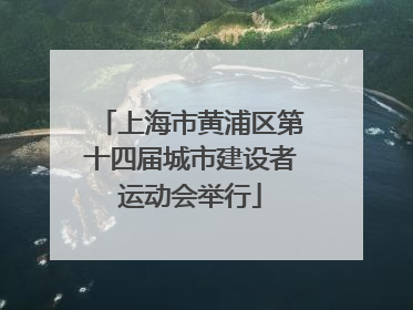 上海市黄浦区第十四届城市建设者运动会举行