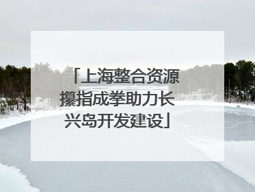 上海整合资源攥指成拳助力长兴岛开发建设