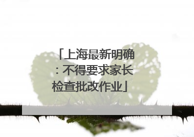 上海最新明确：不得要求家长检查批改作业