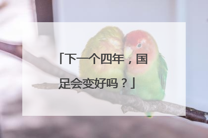 下一个四年，国足会变好吗？