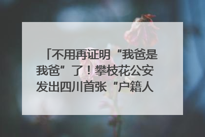 不用再证明“我爸是我爸”了！攀枝花公安发出四川首张“户籍人口直系亲属关系谱”