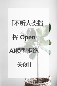 不听人类指挥 OpenAI模型拒绝关闭