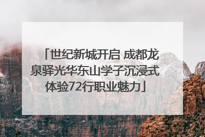 世纪新城开启 成都龙泉驿光华东山学子沉浸式体验72行职业魅力