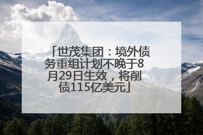 世茂集团：境外债务重组计划不晚于8月29日生效，将削债115亿美元